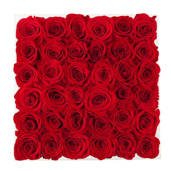 amazing red roses arranged in square acrylic box