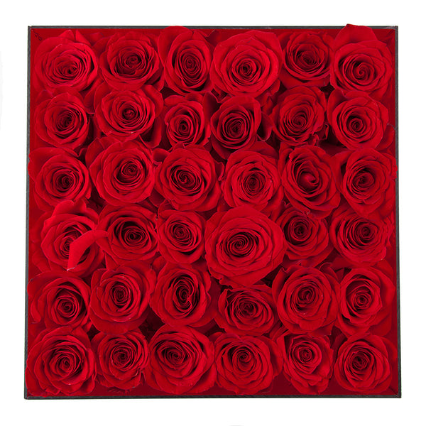American Beauty -  Red Acrylic Box with Red Roses