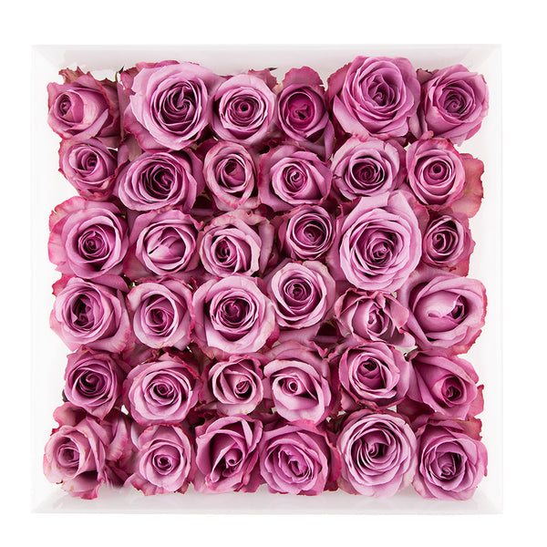 three dozen lavender roses arranged in square