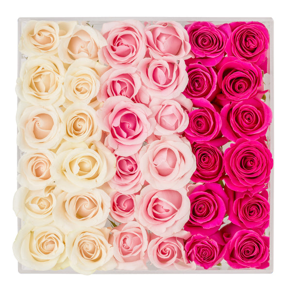 Pretty in Pink - Crystal Clear Box and Ombre Pink Roses