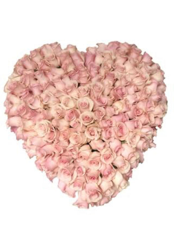 How deep is your love- over 200 roses in a heart.