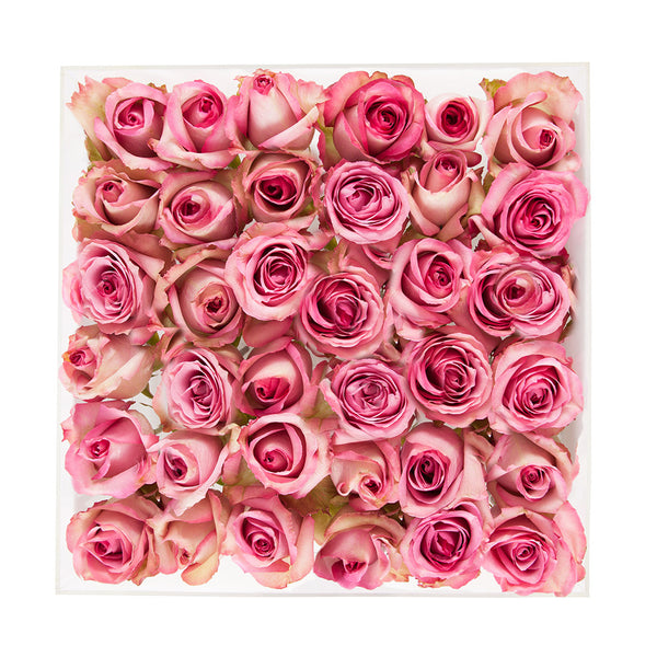 3 dozen beautiful pink roses