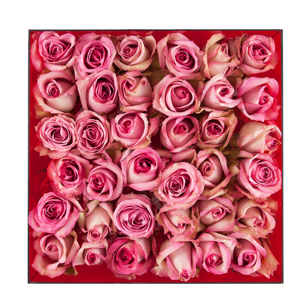 perfect square of 3 dozen roses in acrylic box