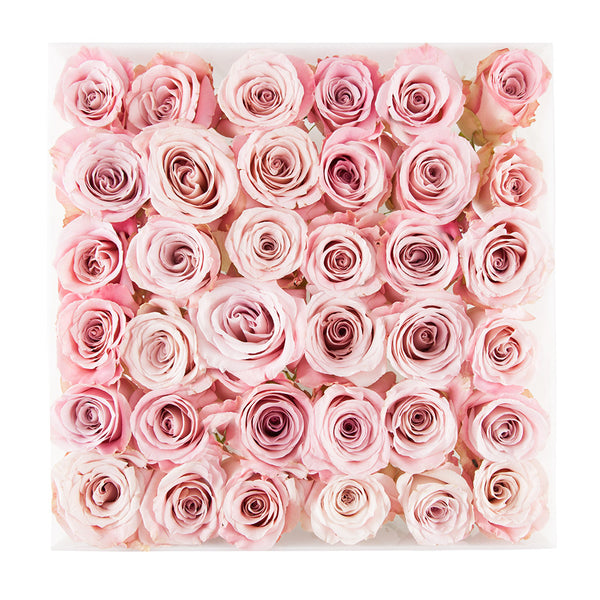 3 dozen pink faith roses in square white acrylic box
